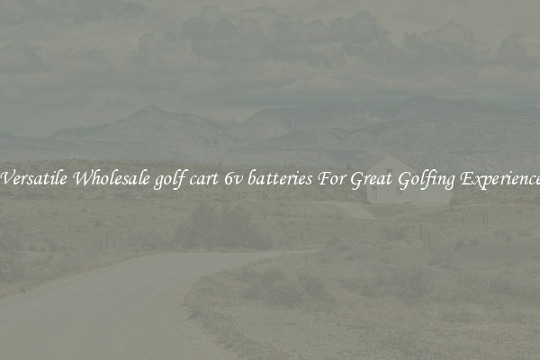 Versatile Wholesale golf cart 6v batteries For Great Golfing Experience