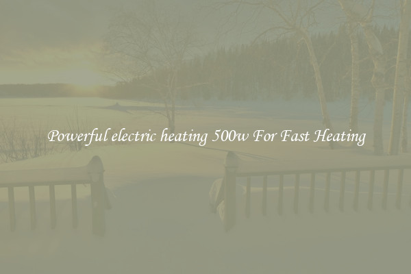 Powerful electric heating 500w For Fast Heating