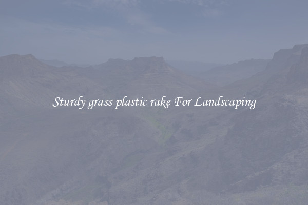 Sturdy grass plastic rake For Landscaping