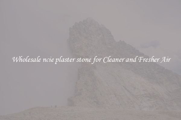 Wholesale ncie plaster stone for Cleaner and Fresher Air