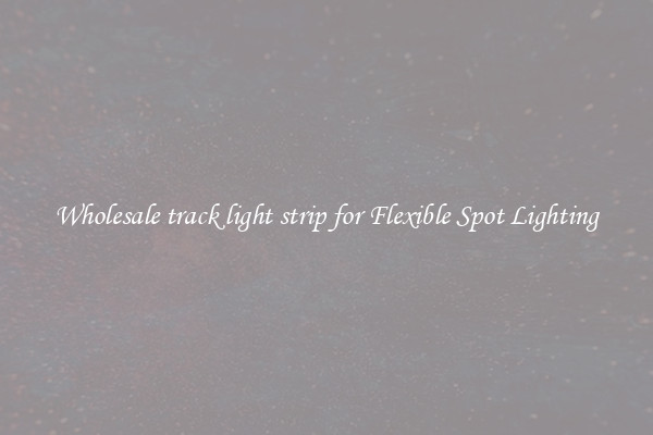 Wholesale track light strip for Flexible Spot Lighting