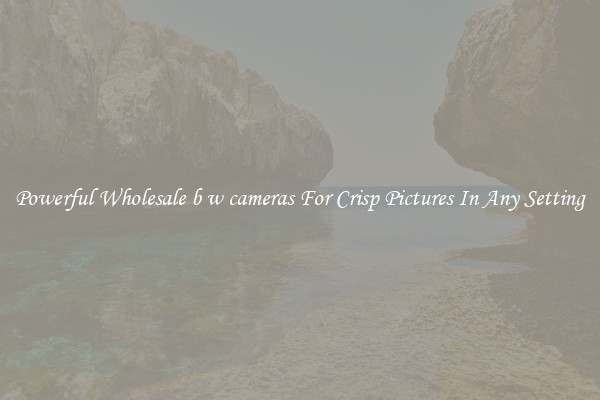 Powerful Wholesale b w cameras For Crisp Pictures In Any Setting