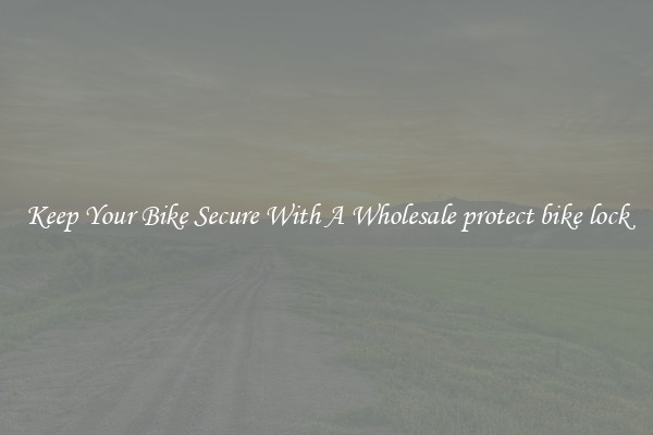 Keep Your Bike Secure With A Wholesale protect bike lock