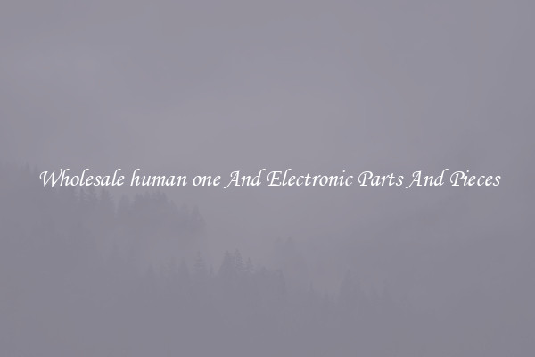 Wholesale human one And Electronic Parts And Pieces