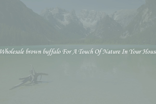 Wholesale brown buffalo For A Touch Of Nature In Your House