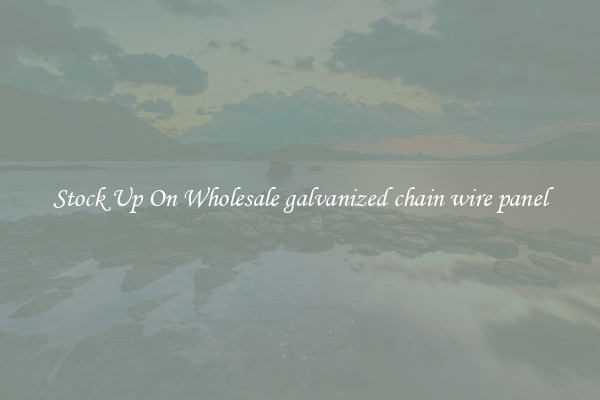 Stock Up On Wholesale galvanized chain wire panel