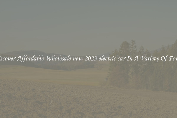 Discover Affordable Wholesale new 2023 electric car In A Variety Of Forms
