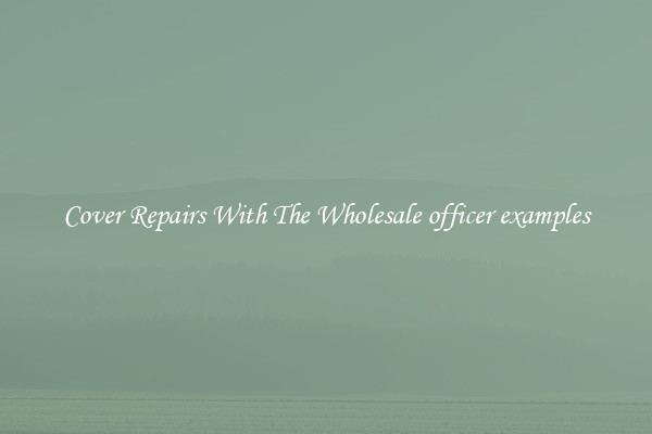  Cover Repairs With The Wholesale officer examples 