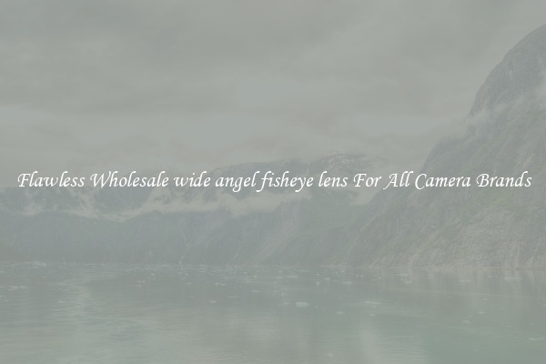 Flawless Wholesale wide angel fisheye lens For All Camera Brands