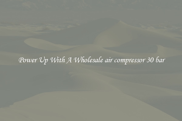 Power Up With A Wholesale air compressor 30 bar
