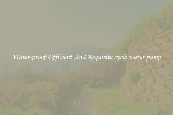 Water-proof Efficient And Requisite cycle water pump