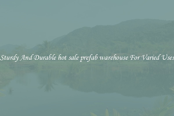 Sturdy And Durable hot sale prefab warehouse For Varied Uses
