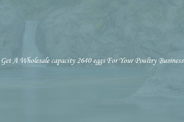 Get A Wholesale capacity 2640 eggs For Your Poultry Business