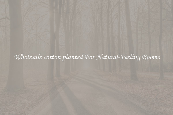 Wholesale cotton planted For Natural-Feeling Rooms