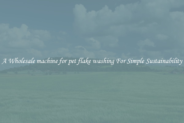  A Wholesale machine for pet flake washing For Simple Sustainability 