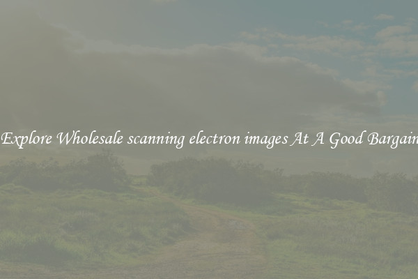 Explore Wholesale scanning electron images At A Good Bargain