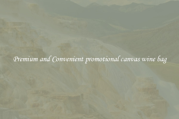 Premium and Convenient promotional canvas wine bag